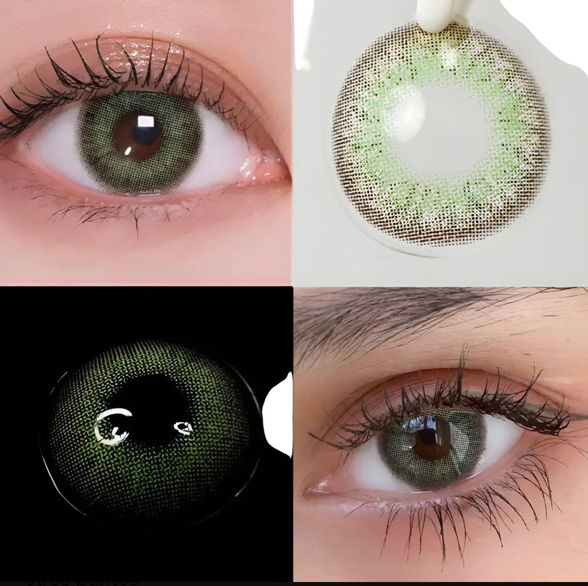Wilcat Green