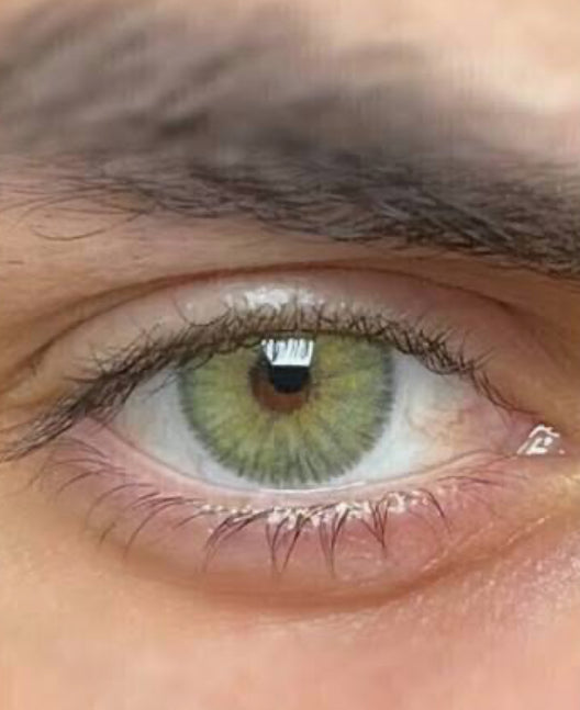 Angeles n gray