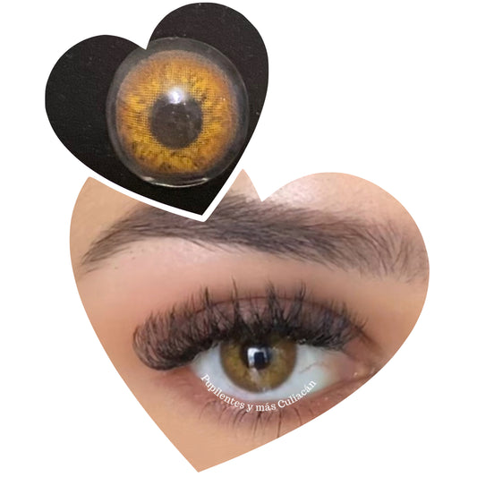 Tono Russian Brown
