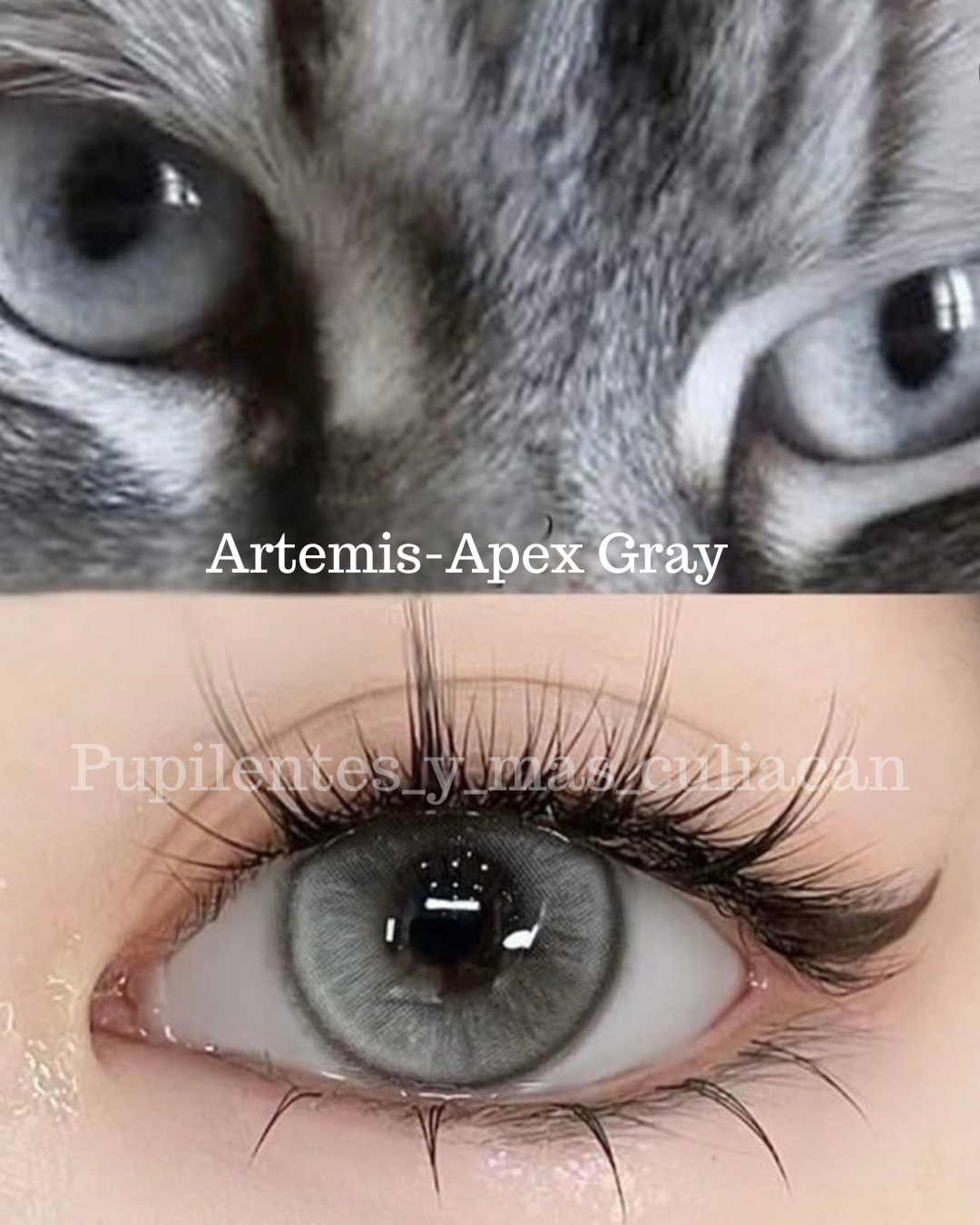 Tono Artemis-Apex Gray (pupila normal)