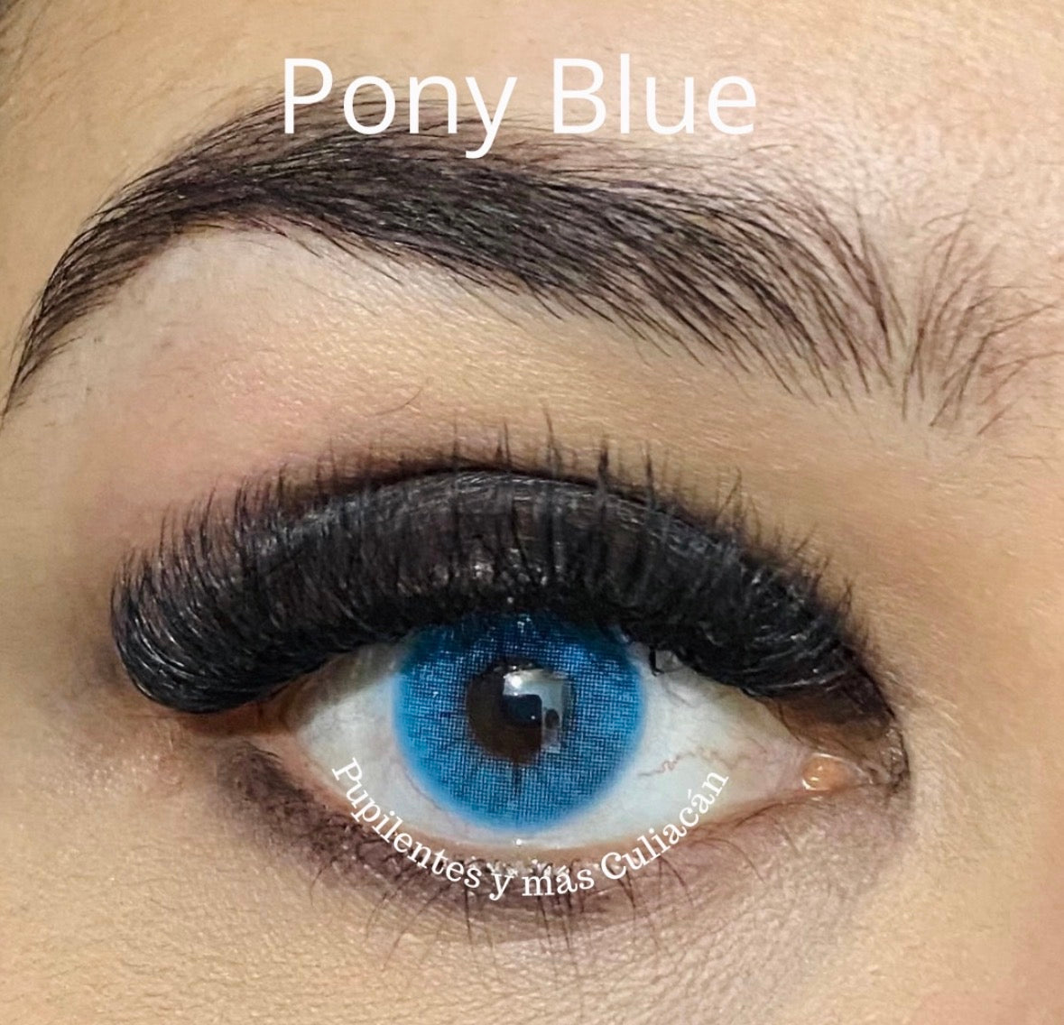 Pony Blue (pupila normal)
