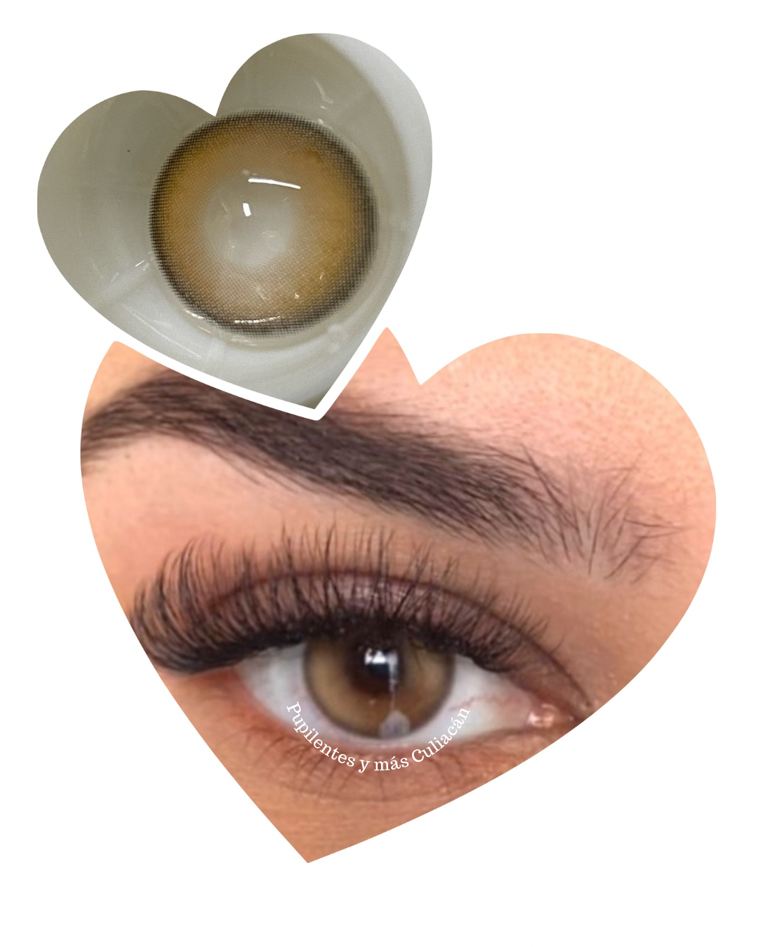 Bejeweled Brown