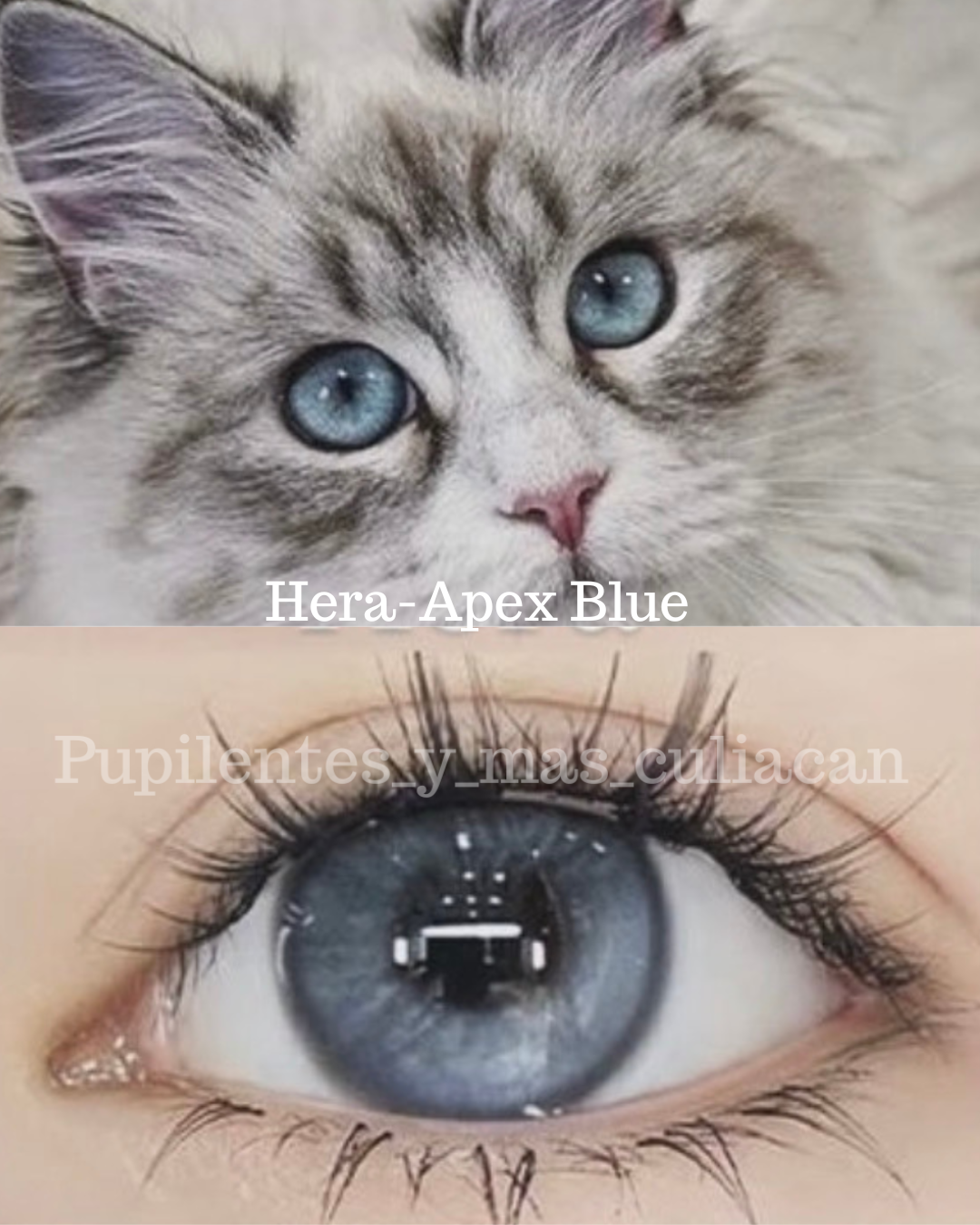 Tono Hera-Apex Blue (pupila normal)