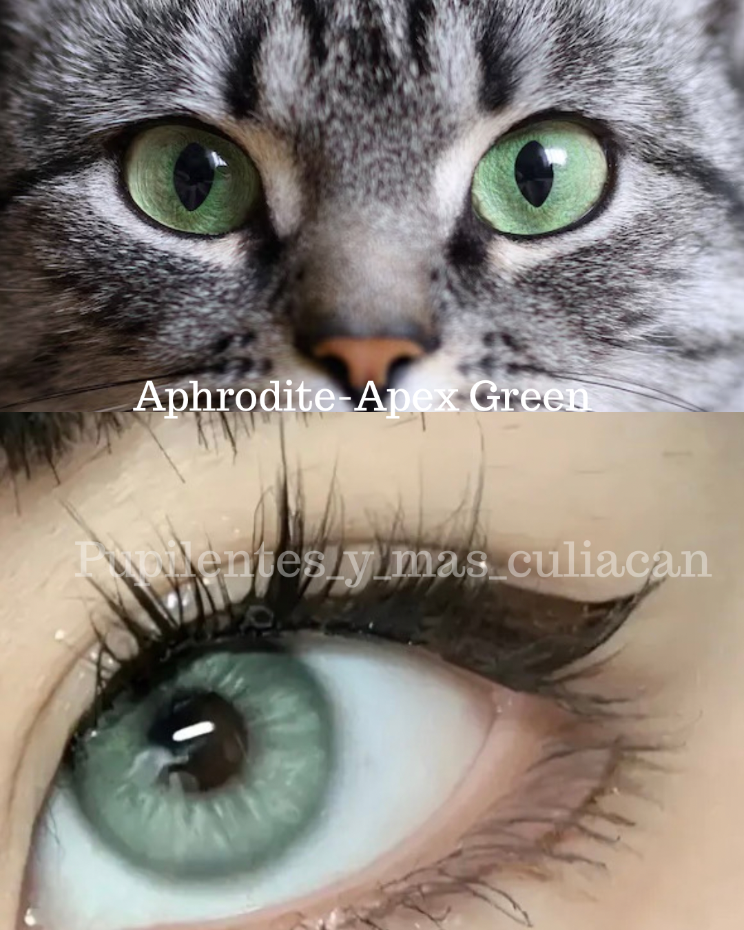 Tono Aphrodite-Apex Green (pupila normal)